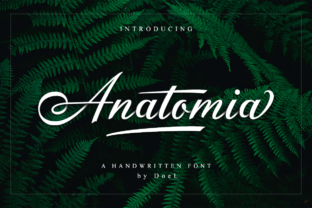Anatomia Script: The Typeface That Elevates Campaign Visuals