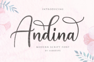 Andina Script: A Modern Typeface for Makers
