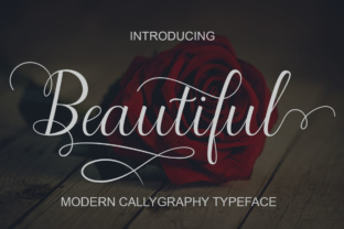 Beautiful Script Font Review for Modern Branding