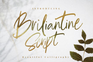 Briliantine Script: A Typeface for Modern Editorial Design