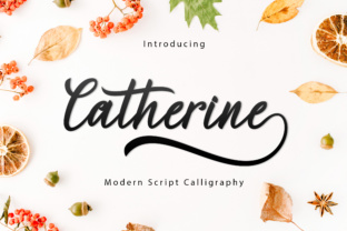 Catherine Script: Elevating Web Typography