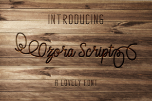Ozora Script Font for Campaign Design