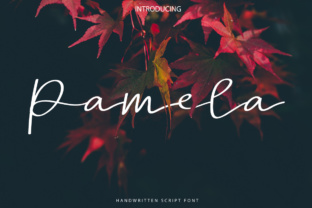 Pamela Script Font: A Chic Choice for Branding