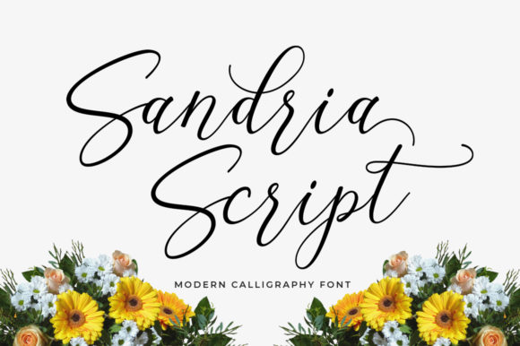 Sandria Script: Elevate Your Brand Typeface